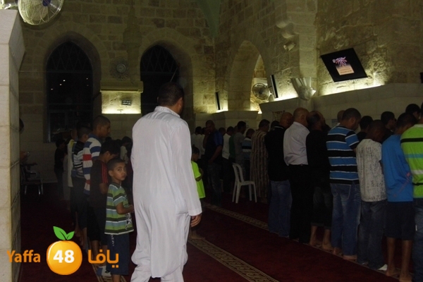 kaber trawe7 718 (9).JPG